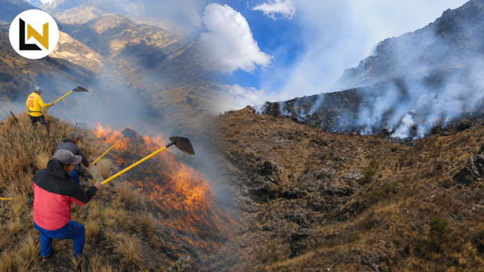 Incendio forestal