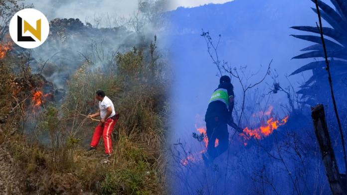 Incendios forestales en Áncash
