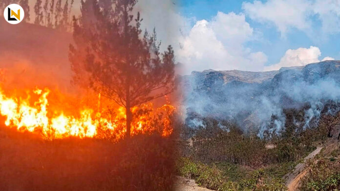 Incendios forestales en Áncash