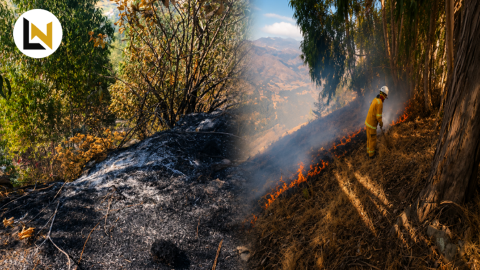 Incendios forestales en Áncash