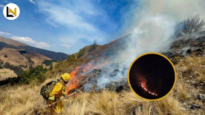 incendio destruyó más de 100 hectáreas.