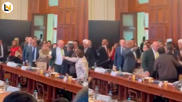 pelea giampietri maravi comision de constitucion senado