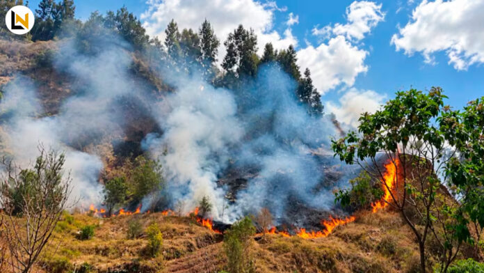 cusco incendio forestales